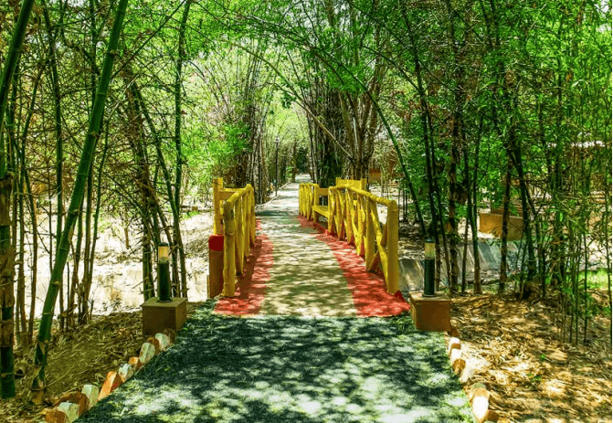 Lemon Tree Hotels