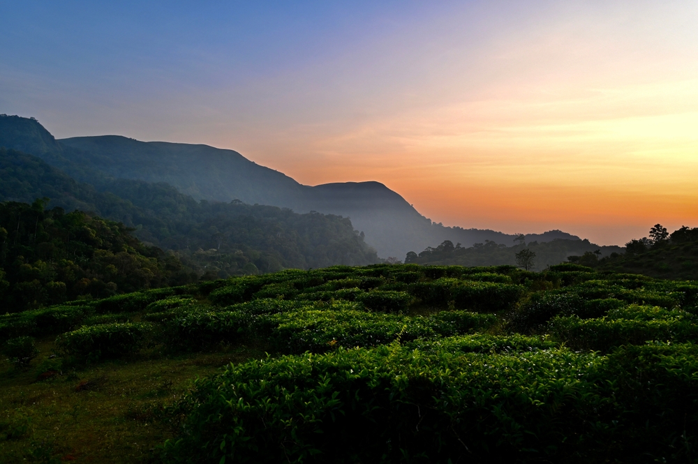 Thekkady