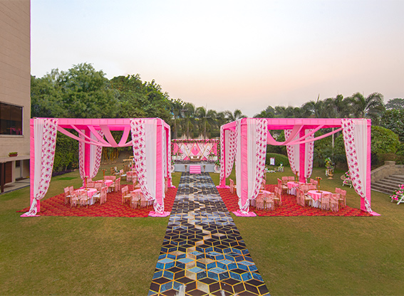 Open Lawn 1