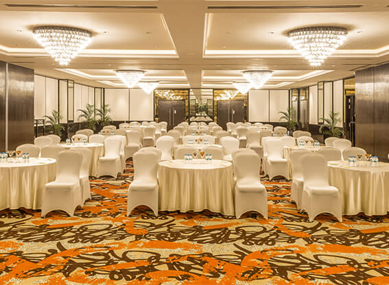 28_Jun_2023_11_26_2317.-Tangerine-Grand.jpg