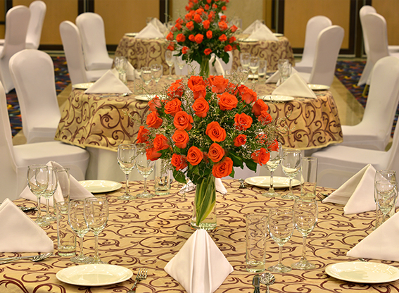 Best restaurants in Baddi
