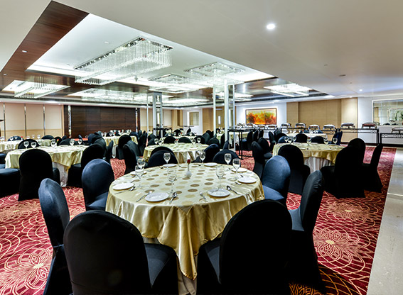 lemon tree jammu banquet